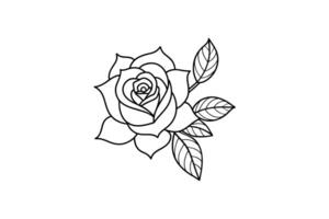 Rose flower for design element and coloring book pages for kids vector