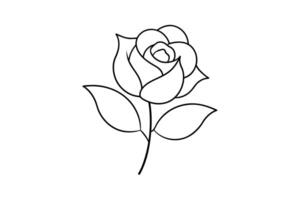Rose flower for design element and coloring book pages for kids vector