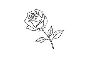 Rose flower for design element and coloring book pages for kids vector