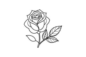 Rose flower for design element and coloring book pages for kids vector