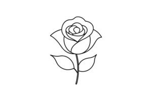 Rose flower for design element and coloring book pages for kids vector