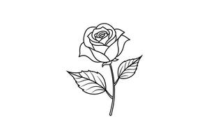 Rose flower for design element and coloring book pages for kids vector
