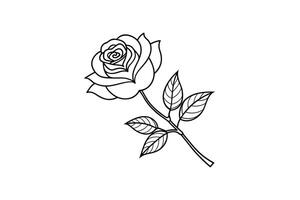 Rose flower for design element and coloring book pages for kids vector