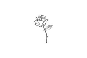Rose flower for design element and coloring book pages for kids vector