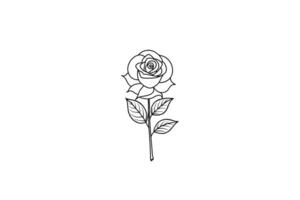 Rose flower for design element and coloring book pages for kids vector