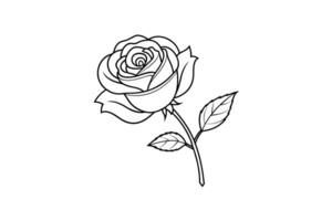 Rose flower for design element and coloring book pages for kids vector
