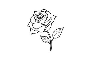 Rose flower for design element and coloring book pages for kids vector