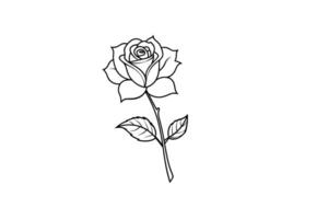 Rose flower for design element and coloring book pages for kids vector