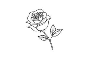 Rose flower for design element and coloring book pages for kids vector