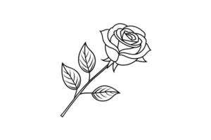 Rose flower for design element and coloring book pages for kids vector