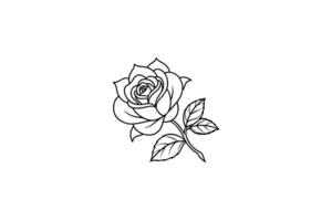 Rose flower for design element and coloring book pages for kids vector