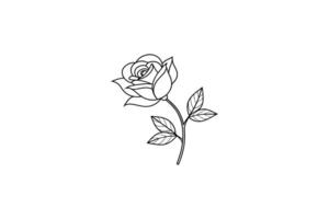 Rose flower for design element and coloring book pages for kids vector