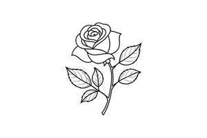 Rose flower for design element and coloring book pages for kids vector