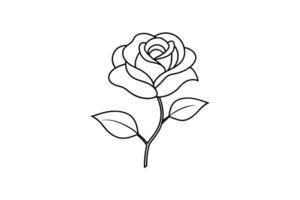 Rose flower for design element and coloring book pages for kids vector