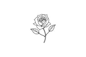 Rose flower for design element and coloring book pages for kids vector