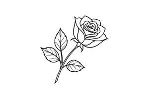 Rose flower for design element and coloring book pages for kids vector