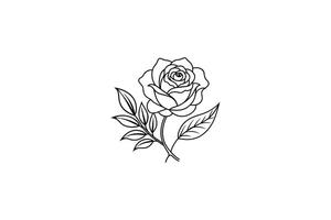 Rose flower for design element and coloring book pages for kids vector