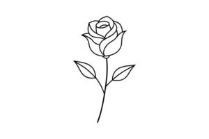 Rose flower for design element and coloring book pages for kids vector