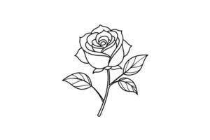 Rose flower for design element and coloring book pages for kids vector