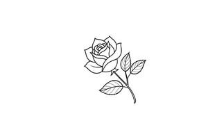 Rose flower for design element and coloring book pages for kids vector
