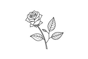 Rose flower for design element and coloring book pages for kids vector