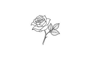 Rose flower for design element and coloring book pages for kids vector
