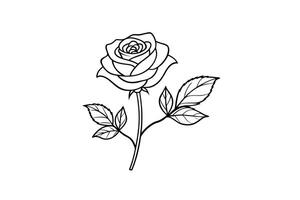 Rose flower for design element and coloring book pages for kids vector