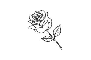 Rose flower for design element and coloring book pages for kids vector