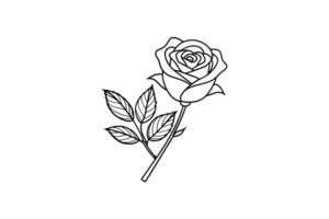 Rose flower for design element and coloring book pages for kids vector