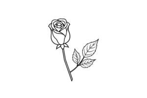 Rose flower for design element and coloring book pages for kids vector