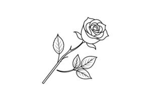 Rose flower for design element and coloring book pages for kids vector