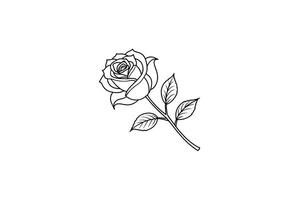 Rose flower for design element and coloring book pages for kids vector