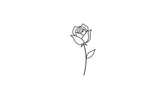 Rose flower for design element and coloring book pages for kids vector