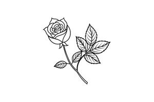 Rose flower for design element and coloring book pages for kids vector