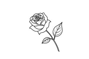 Rose flower for design element and coloring book pages for kids vector