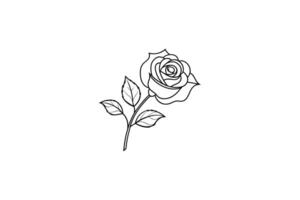 Rose flower for design element and coloring book pages for kids vector