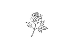 Rose flower for design element and coloring book pages for kids vector