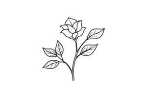 Rose flower for design element and coloring book pages for kids vector