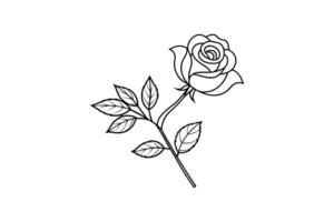 Rose flower for design element and coloring book pages for kids vector