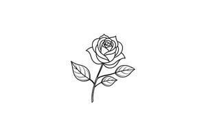 Rose flower for design element and coloring book pages for kids vector