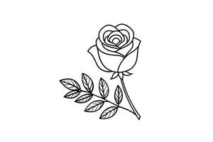 Rose flower for design element and coloring book pages for kids vector