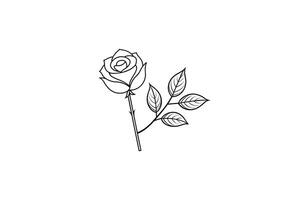 Rose flower for design element and coloring book pages for kids vector