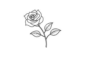 Rose flower for design element and coloring book pages for kids vector