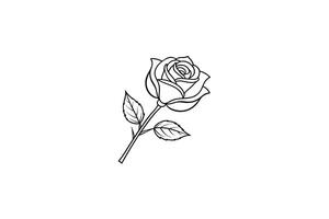 Rose flower for design element and coloring book pages for kids vector