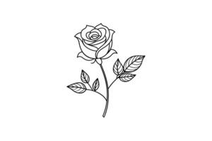 Rose flower for design element and coloring book pages for kids vector