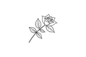 Rose flower for design element and coloring book pages for kids vector