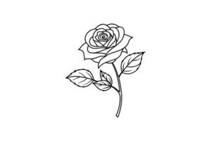 Rose flower for design element and coloring book pages for kids vector