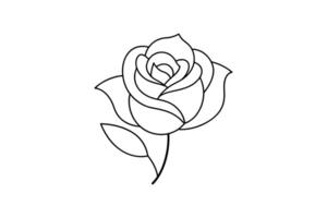 Rose flower for design element and coloring book pages for kids vector