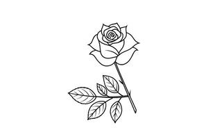 Rose flower for design element and coloring book pages for kids vector