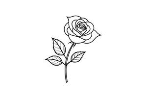 Rose flower for design element and coloring book pages for kids vector